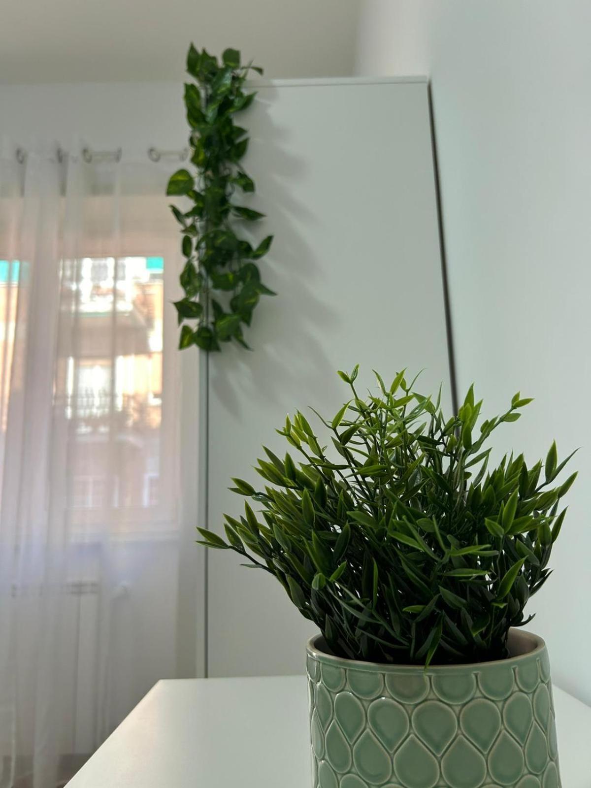 A & F Apartment Ρώμη Εξωτερικό φωτογραφία